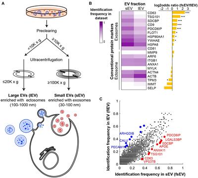 Extracellular Vesicle Proteomes Shed Light on the Evolutionary, Interactive, and Functional Divergence of Their Biogenesis Mechanisms